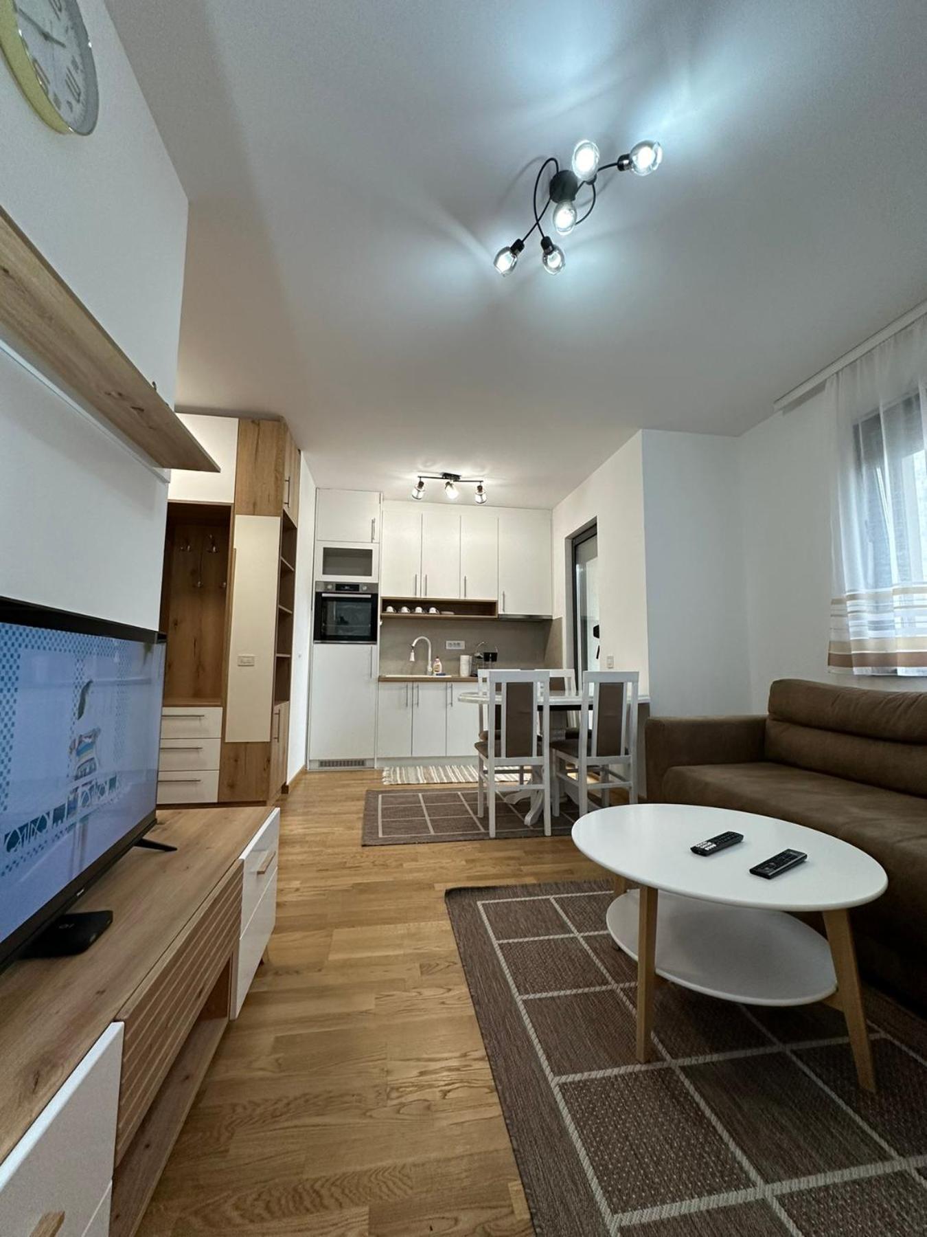 Apartment Milnik